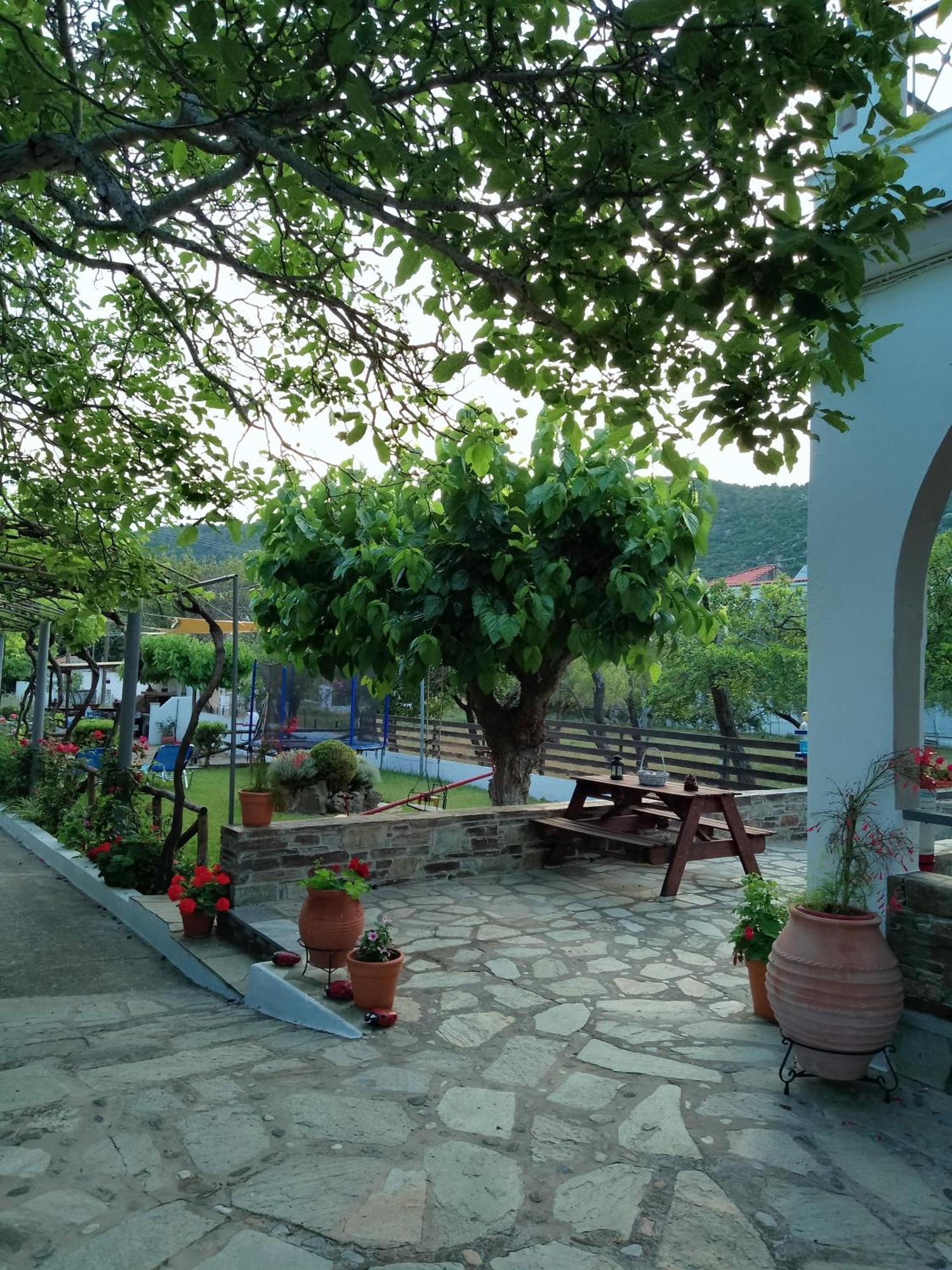 Alexandra Studios Stafylos Bagian luar foto