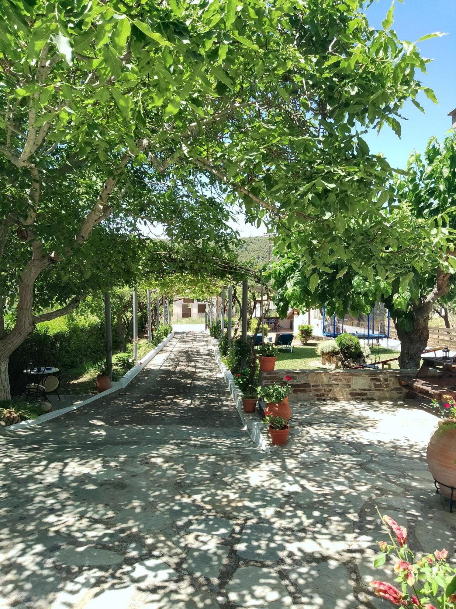 Alexandra Studios Stafylos Bagian luar foto